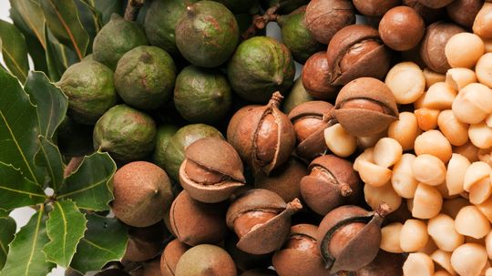 Here's Why Macadamia Nuts Are So Delicious and So Crazy Expensive