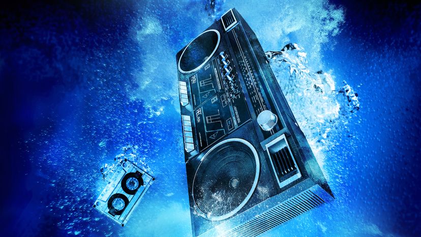 A speaker underwater.