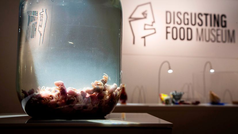 Disgusting Food Museum	