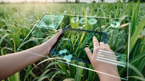 Times Science Fiction Movies Accurately Predicted Future Technology - Vimarsana News