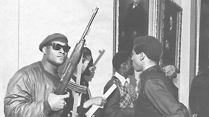 Black Panthers, guns