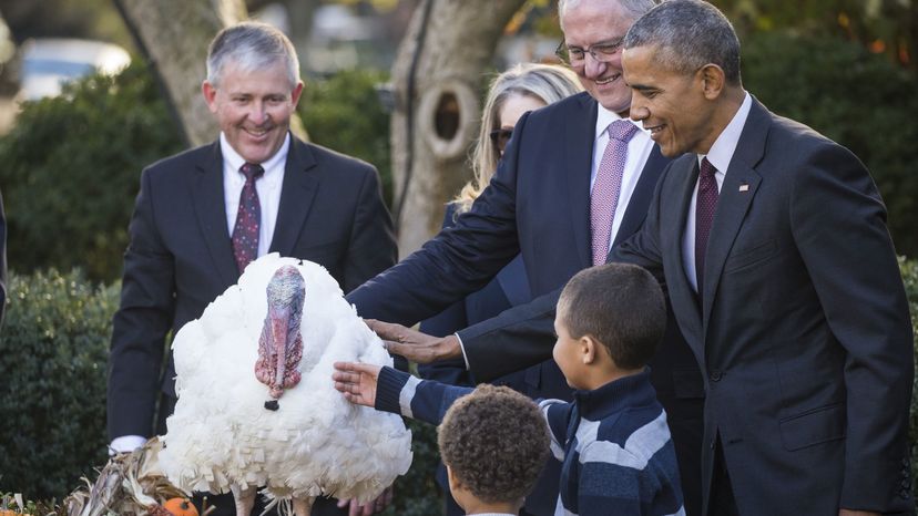 Obama, Thanksgiving turkey
