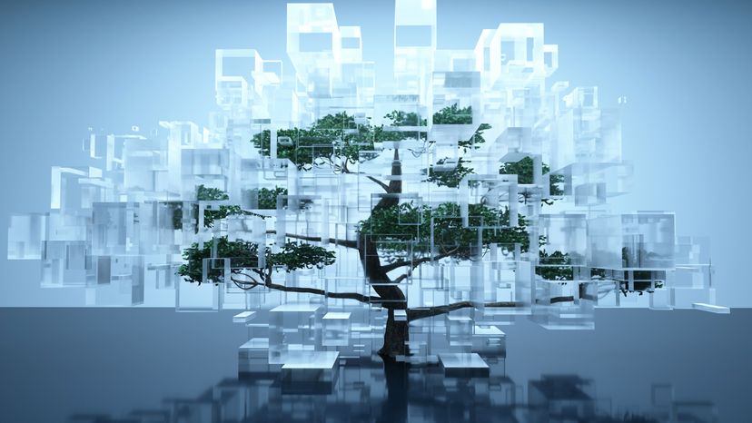 A digital image of a tree inside a glass container.