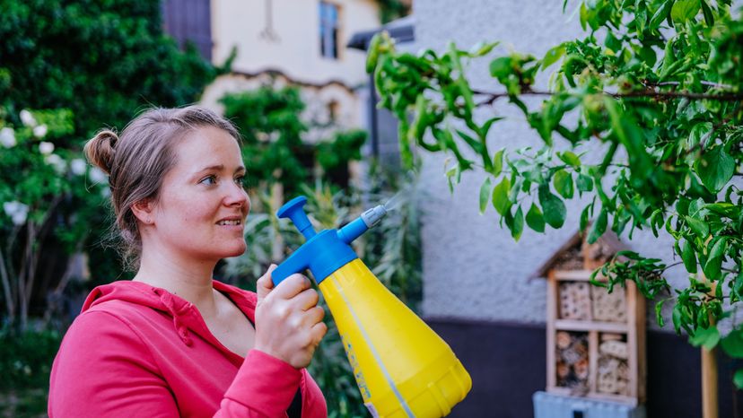 A woman spraying her garden with biocide. 