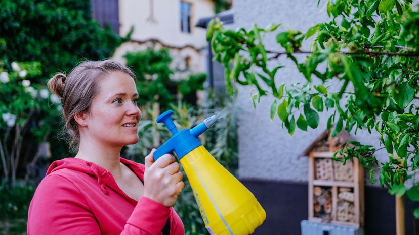 A woman spraying her garden with biocide.