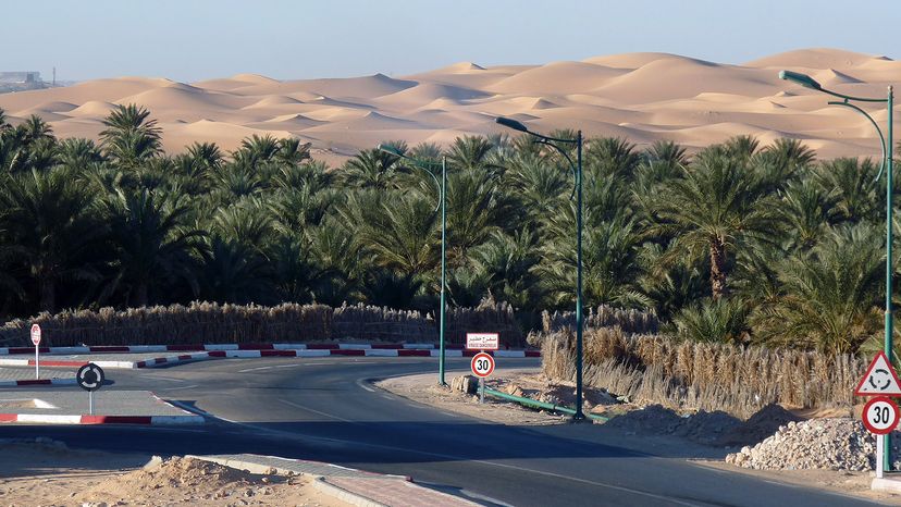 阿尔及利亚创纪录的高温＂width=