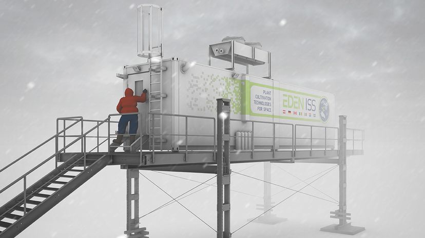 Antarctic shipping-container greenhouse