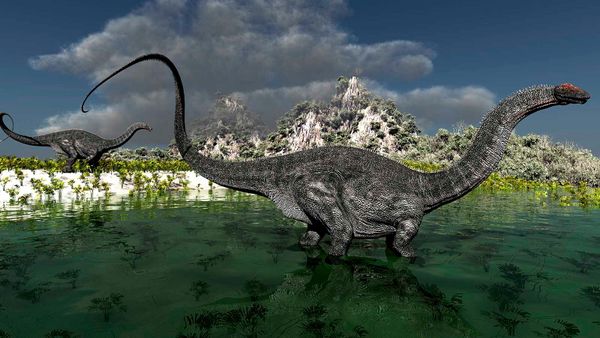 The Big Dinosaur Debate: Is It an Apatosaurus or Brontosaurus?