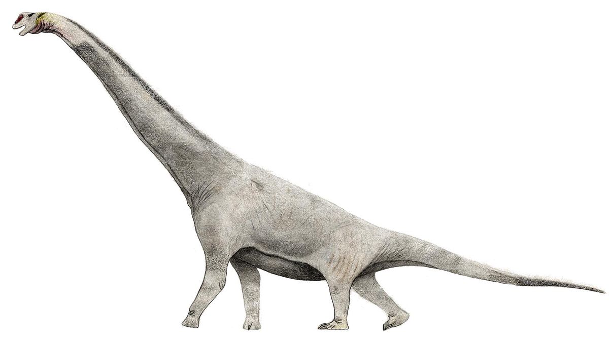 Will the Real Brachiosaurus Please Stand Up? | HowStuffWorks