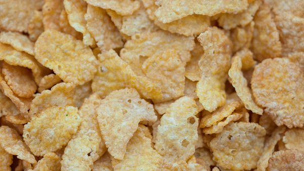 How Salmonella Can Wind Up in Your Breakfast Cereal