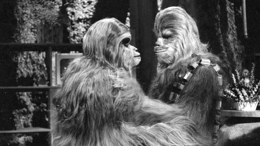 Chewbacca and his dad