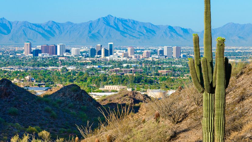 Skyline of phoenix Arizona framed by a cactus plant. 