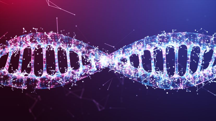 An illustration of a DNA strand. 