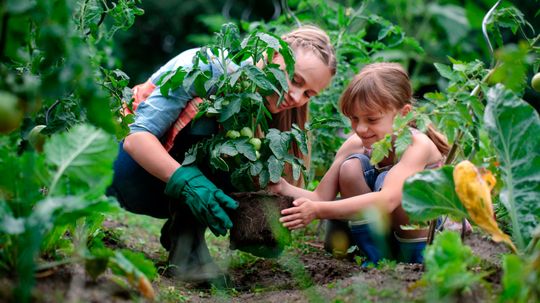 Composting for a Vegetable Garden