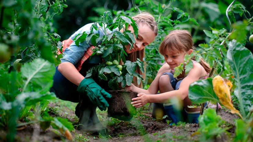 Older and younger sisters working in the garden. 