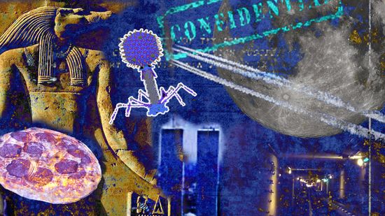 测试:测试你对这些被揭穿的阴谋论的知识＂class=