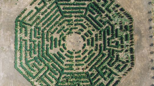How the DHARMA Initiative Works