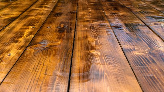 What is the difference between a hardwood and a softwood?
