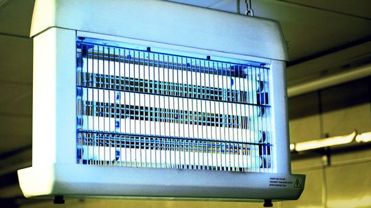 Do bug zappers really help fight mosquitoes?