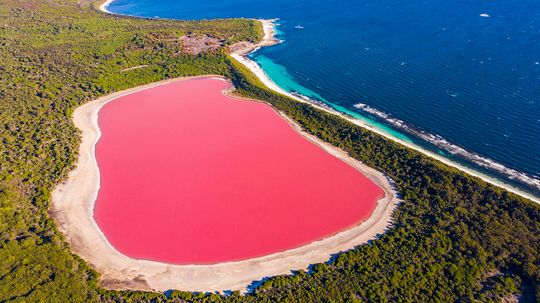 Why Are Australia's Pink Lakes Pink?