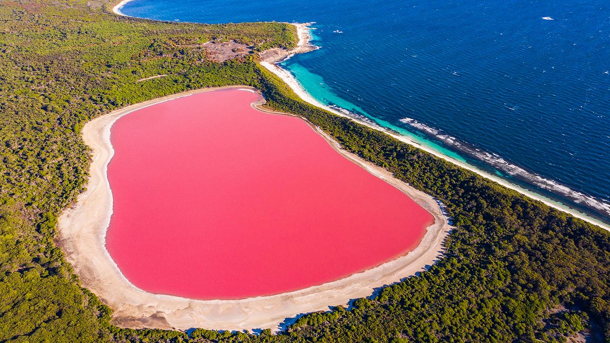 Why does my water look pink?