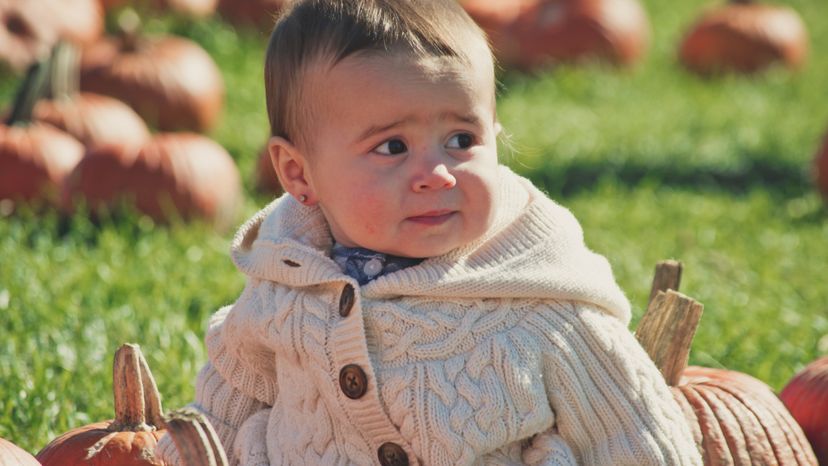 A baby sitting in a pumpkin patch wearing a knitted sweater. 