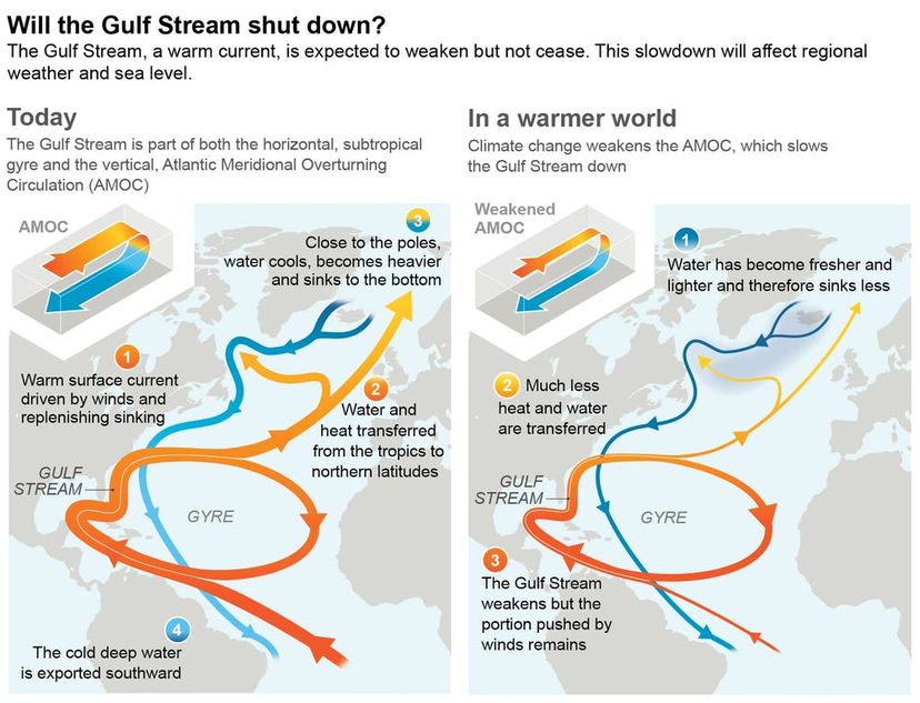 diagram of Gulf Stream