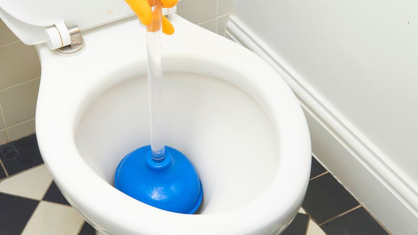 A toilet with a blue plunger inside it. 