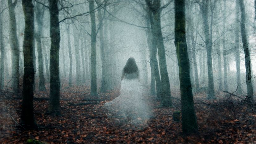 A ghostly woman wearing a white dress, standing in the middle of a forest at night. 