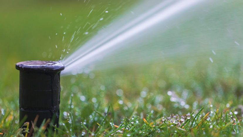 A working sprinkler shooting water onto wet grass.