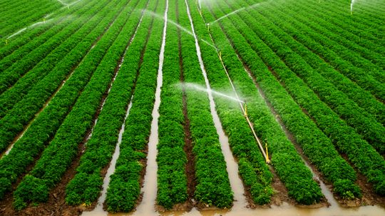 How Irrigation Works