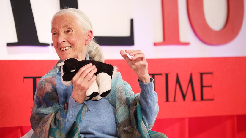 Dr. Jane Goodall