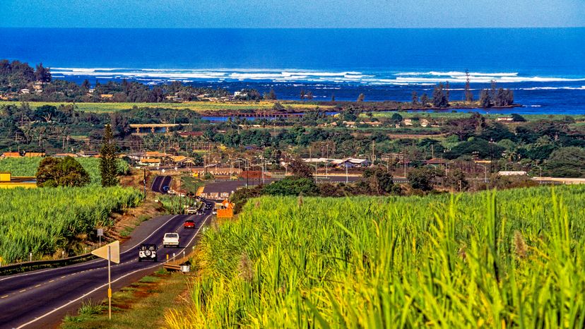 A highway surrounded by beautiful, natural scenery in Hawaii. 