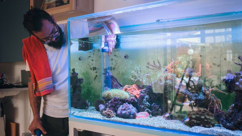 Man cleaning an aquarium