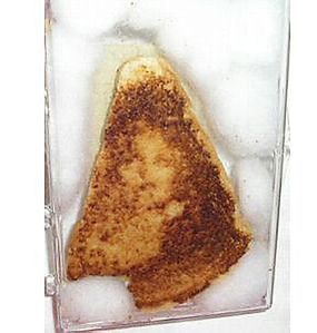 grilled cheese with Virgin Mary