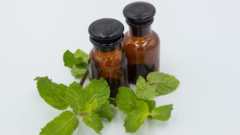 Peppermint oil beside peppermint leaves against a white background. 