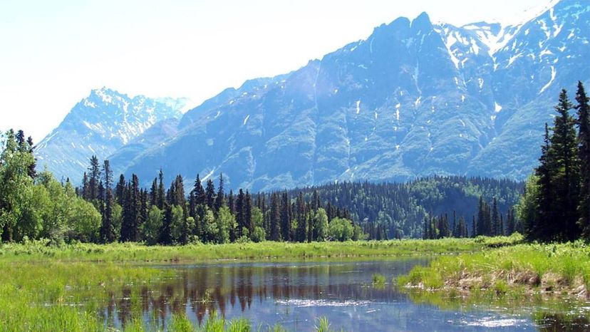 A stream near Little Lake Clark.