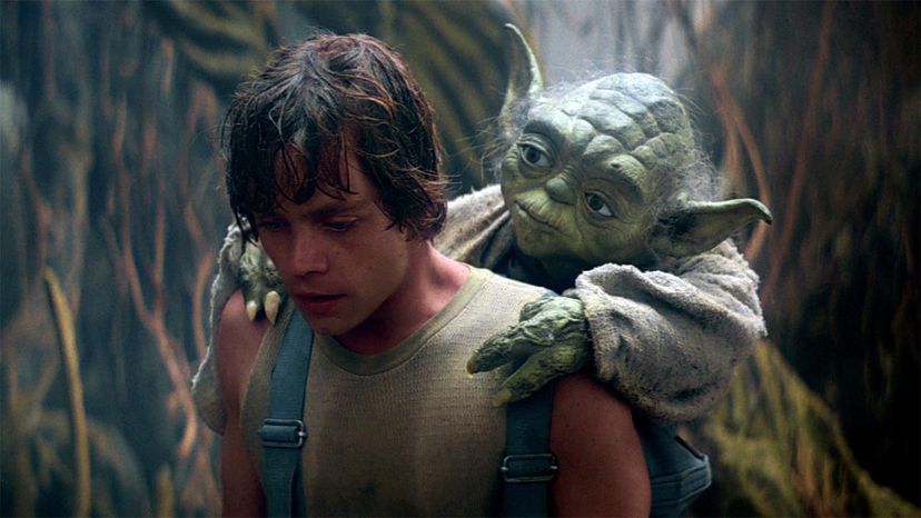 Luke and Yoda