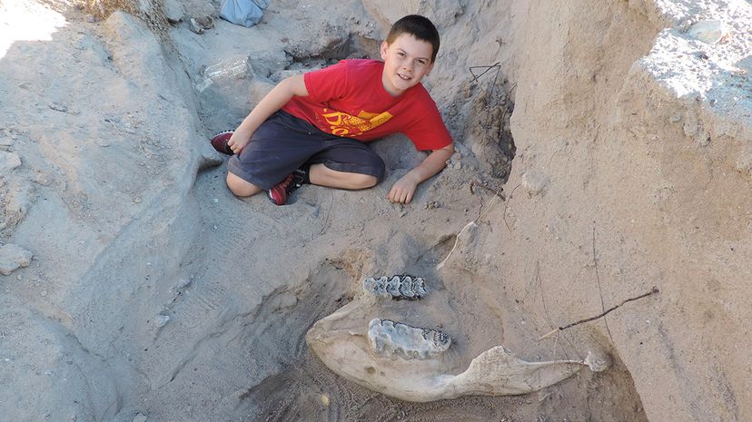 New Mexico resident Jude Sparks poses near the Stegomastodon skull he discovered in 2016. Researchers excavated the fossil find in May 2017 for study and preservation. Peter Houde