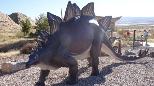 stegosaurus：身体就像一辆公共汽车，小小的大脑“border=