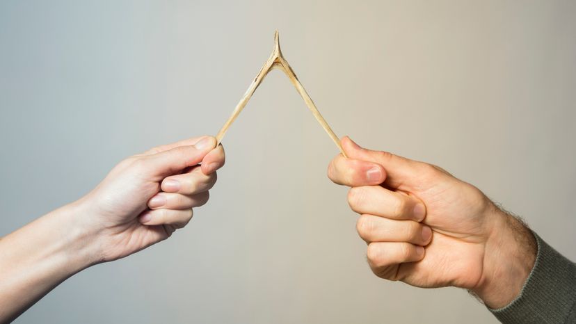 Two hands holding a wish bone. 