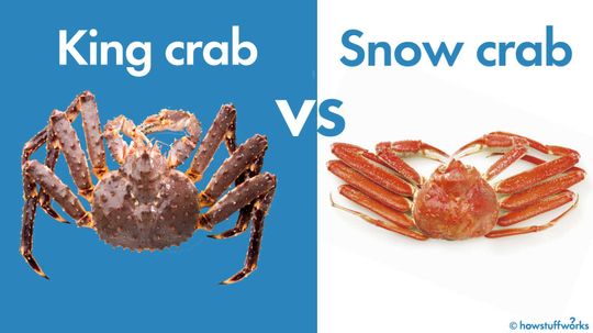 What's the Difference Between Snow Crab and King Crab?