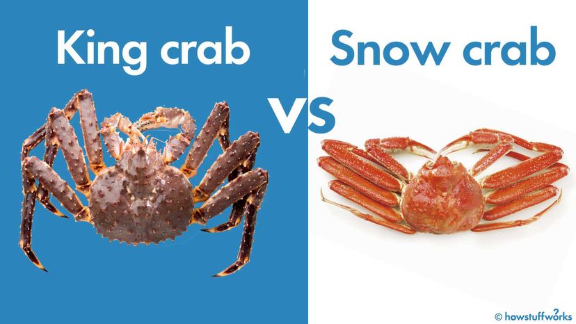 King crab and snow crab