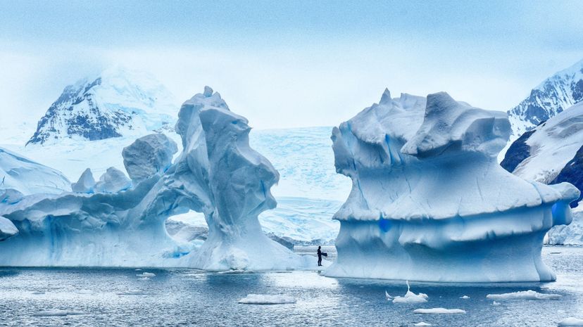 Freediving in the Southern Ocean