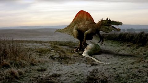 Spinosaurus Was a Lousy Swimmer, Study Says - Vimarsana News