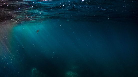 Thalassophobia: Do You Fear the Deep Ocean?