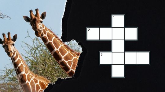 Animal-Themed Crossword