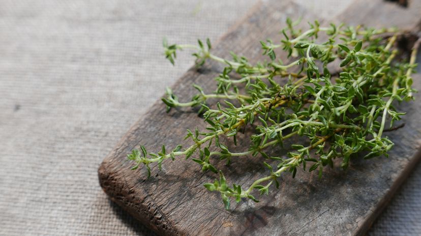 Thyme placed on a wooden chopping board. 