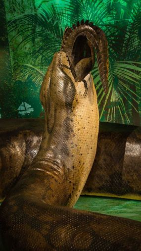 Titanoboa“border=