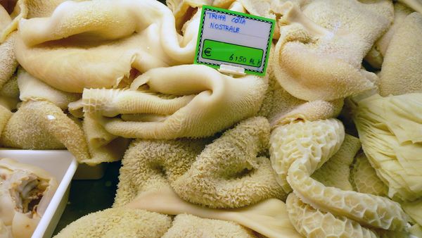 If at First You Don't Succeed, Try Tripe Again